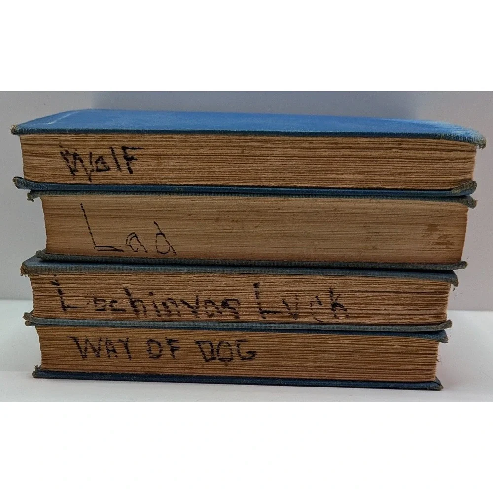 Grosset & Dunlap Albert Payson Terhune Dog Books Set 4 Blue Hardcover Vintage